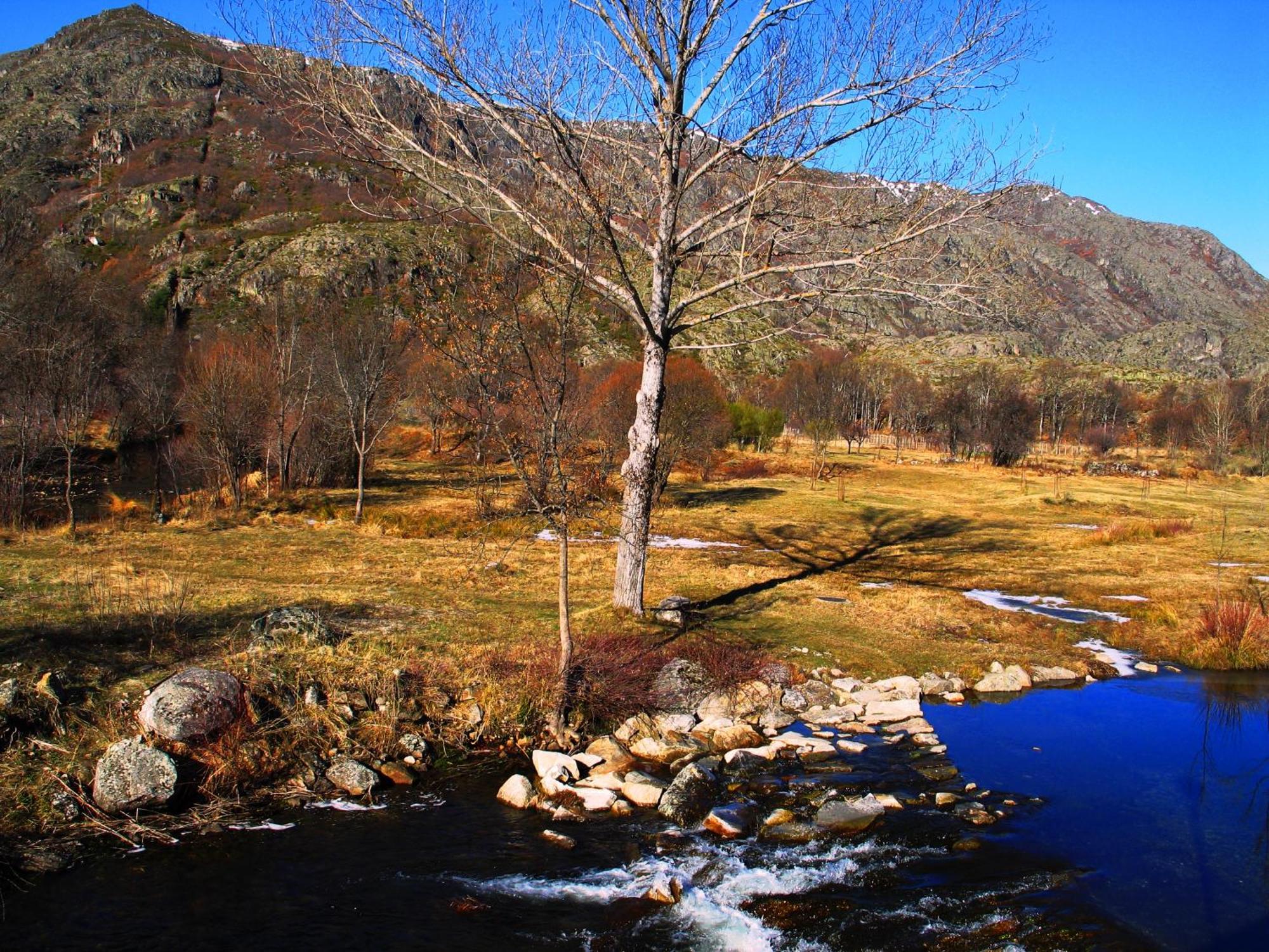 Hostal Martin - Sanabria Ribadelago Kültér fotó